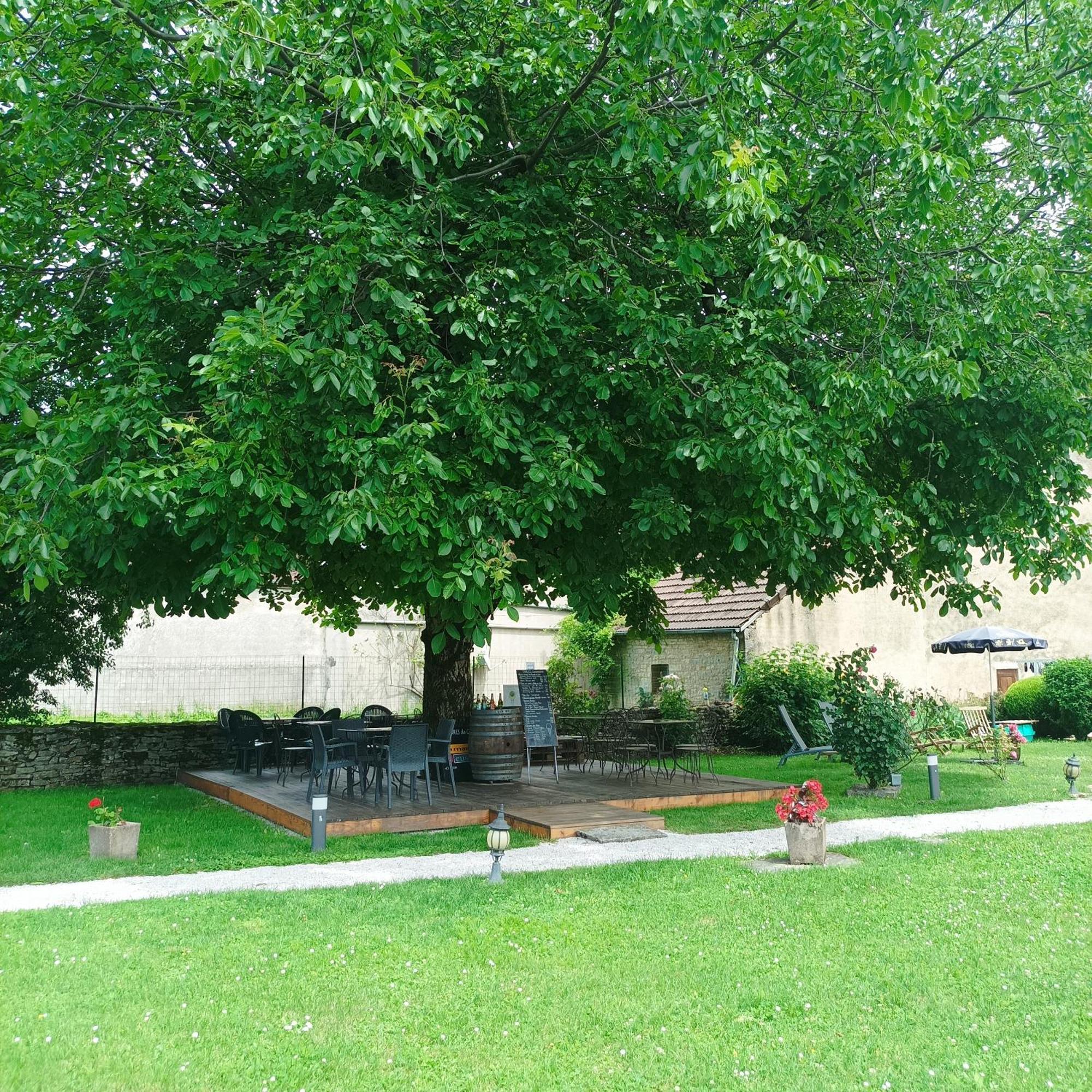 Maison D'Eusebia Chateau-Chalon Exterior photo